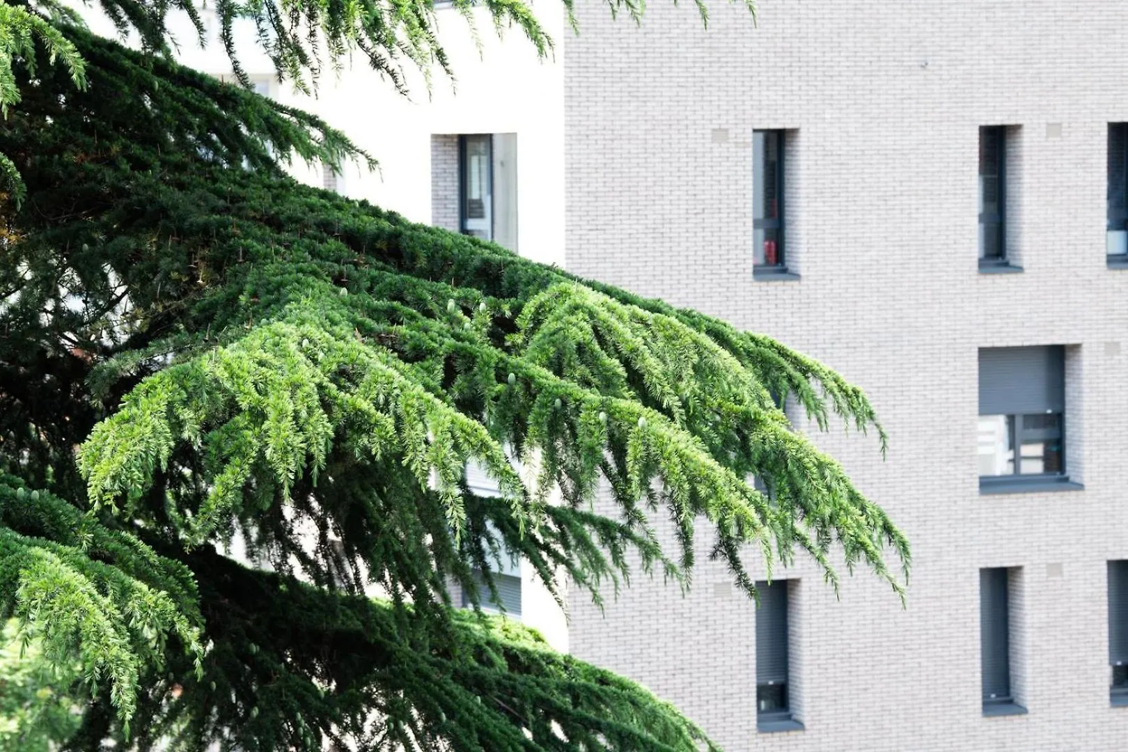 Le 27 - Appartement 3*** Cosy A Lyon Parking Apartment